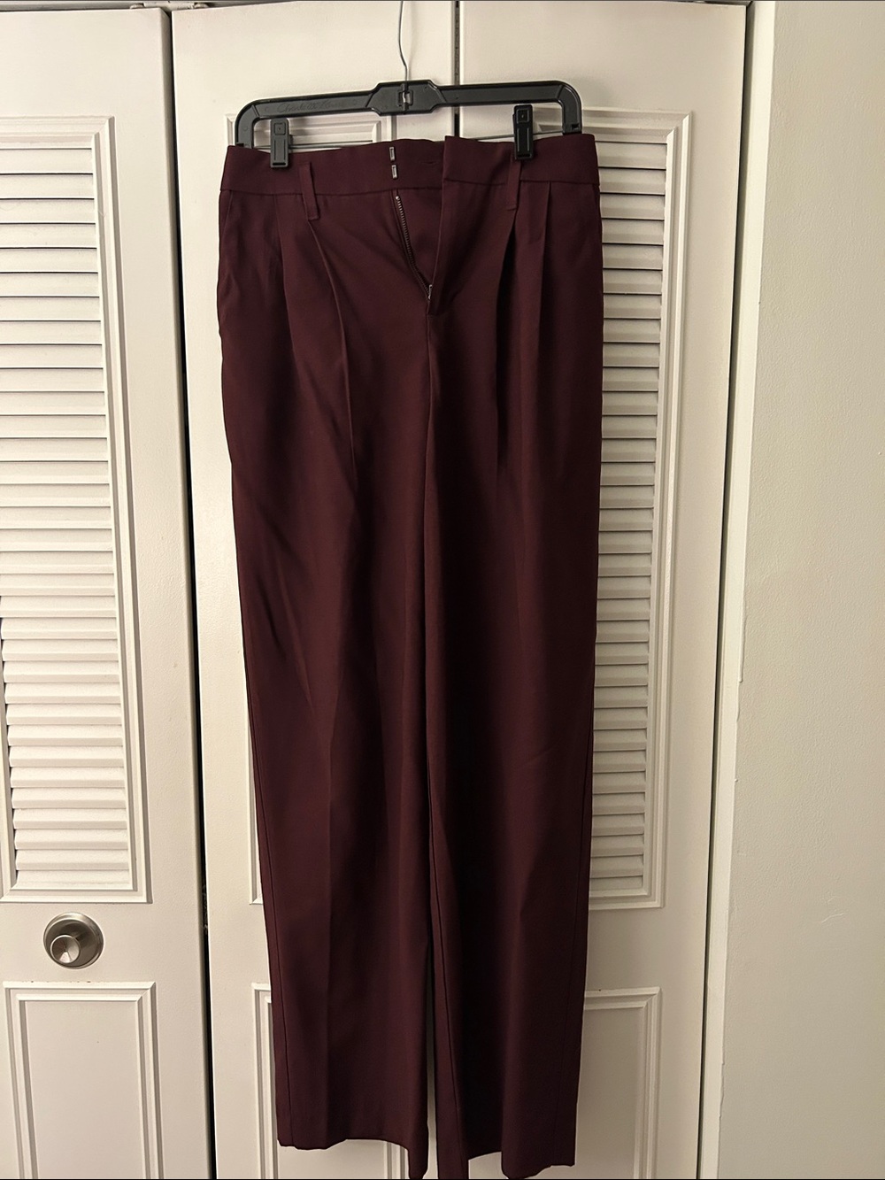 a new day Dress Pants in Deep Burgundy